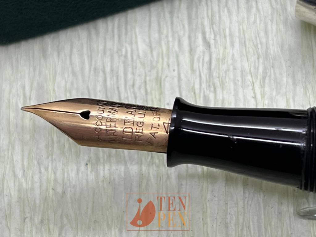 RARE WATERMAN 494 SILVER OVERLAY - BAYLEAF DECORATION | Tenpen